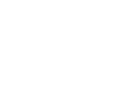 Bovinus